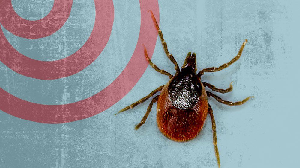 Lyme disease is a bacterial infection that often causes a rash and mild symptoms that include fever, headache, and fatigue, which can be treated with antibiotics. Lyme disease can become serious, especially if not treated early.