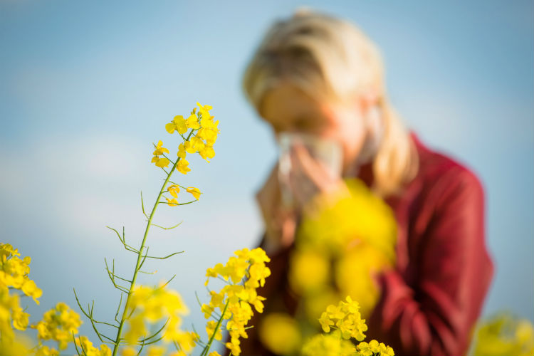 How to Beat Summer Allergies in Dallas, Fort Worth, Texas?